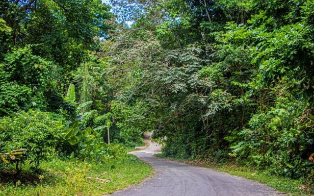 The Hamilton's Nature Villa