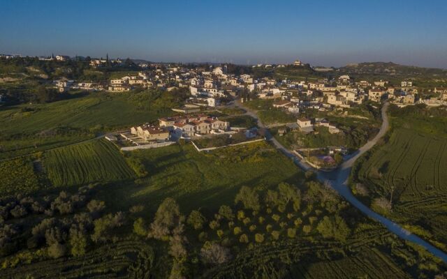 Samareitidos Light Studio - Green