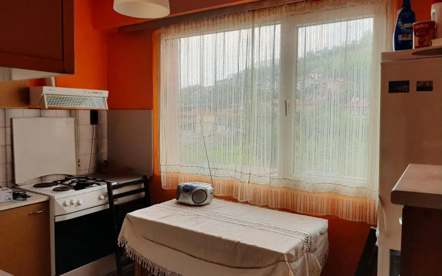 Apartment Milevi