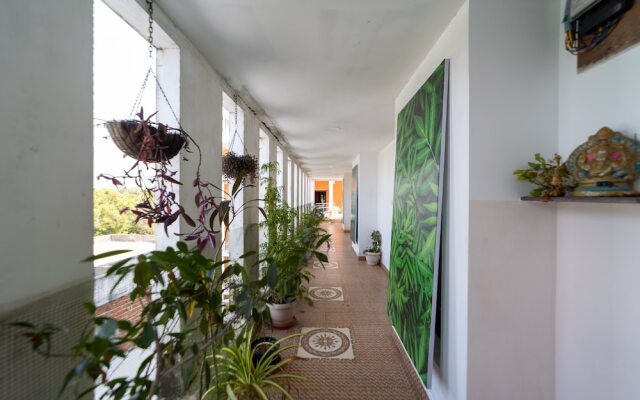 Starlite Hotels
