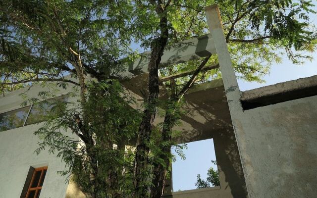 Paloma Suite & Guest House