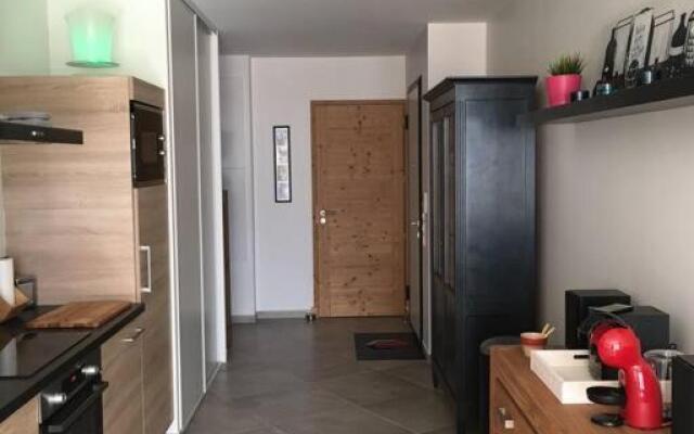 Superbe appartement de 62 m2 au pied des pistes