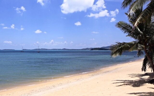 Samui Palm Beach Lead by Celes Samui