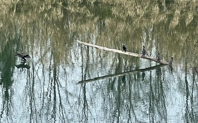 Scenic Villa With View of the Gardon River