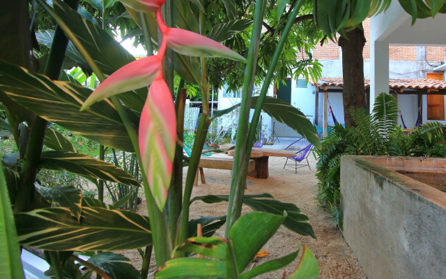 Paziflora Hostel