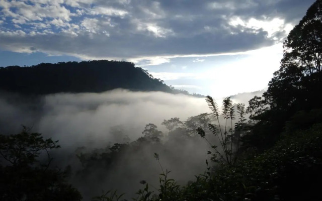 Rainforest Nature House