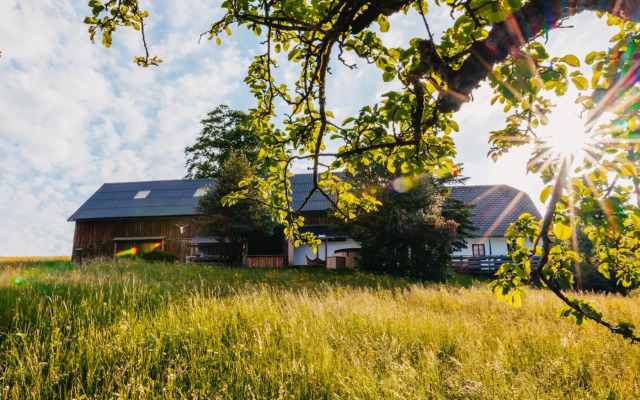 Das Haus am Berg: Nestelberg17