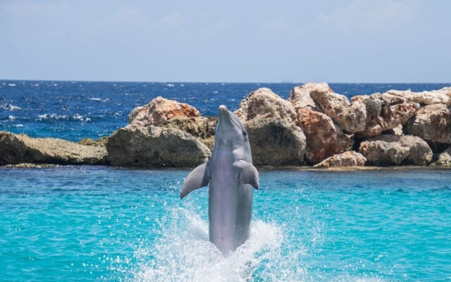 1332 Laurel Grove 3 Bedroom Home by RedAwning