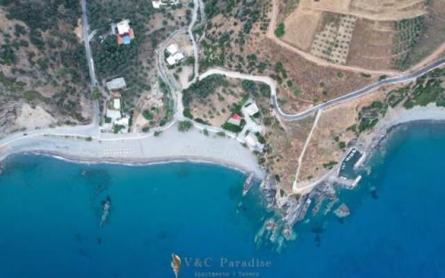 V&C Paradise