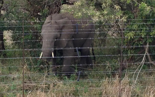 Villa Too Kruger Lodge