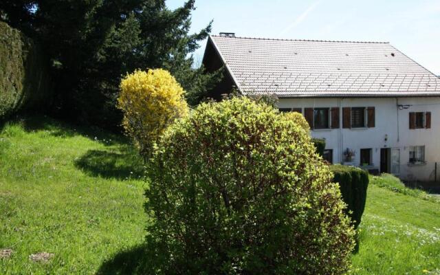 Gîte Fraize, 2 pièces, 3 personnes - FR-1-589-81
