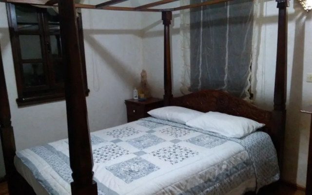 Anemon Ozdemir Bag Evi