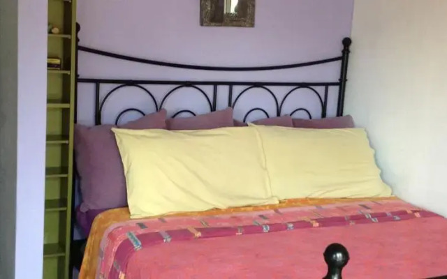 Mole'N Room
