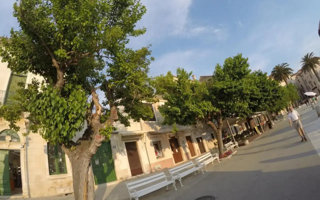 Visit Aylin Vis