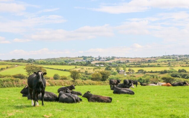 The Old Cows House