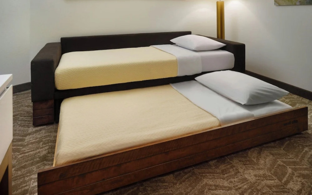 SpringHill Suites Ellijay