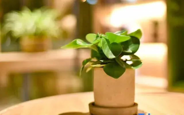 True Go Hotel (Beijing Wangjing Science Park Store)