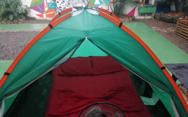 Zebulo Hostel