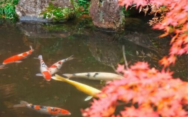Yugawara Onsen Seiranso