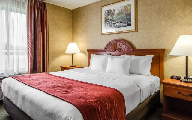 Comfort Inn & Suites