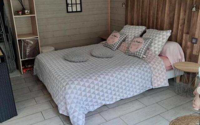 Les nids des falaises