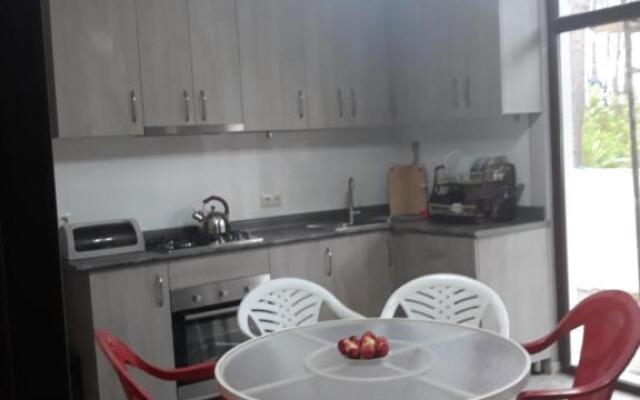 Kaprovani Star Apartament