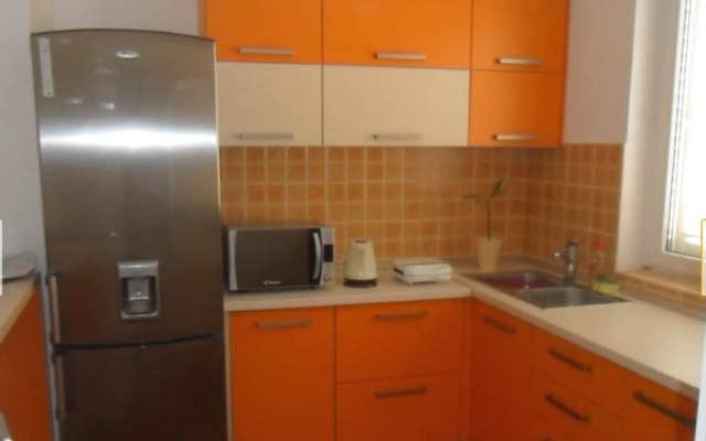 Apartment Amila with beautiful sea view