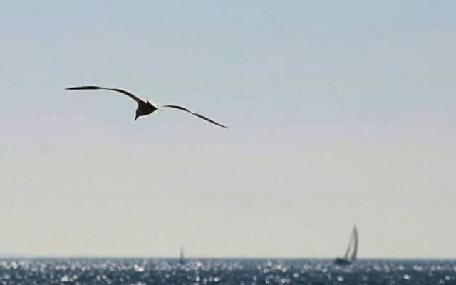 10 Résidence de Port Vril