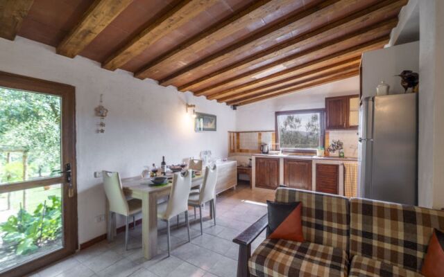 House Olivo Castellina in Chianti