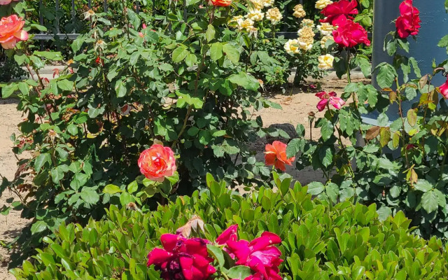 SureStay Hotel by Best Western Chowchilla Yosemite