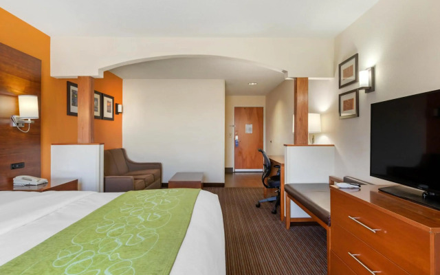 Comfort Suites Stevensville - St. Joseph