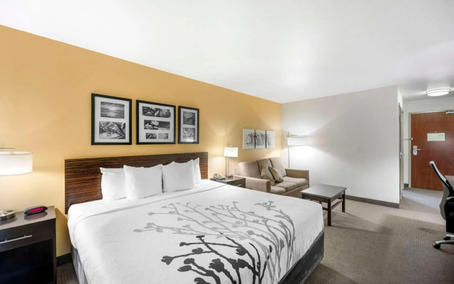 Sleep Inn & Suites Carlsbad Caverns Area