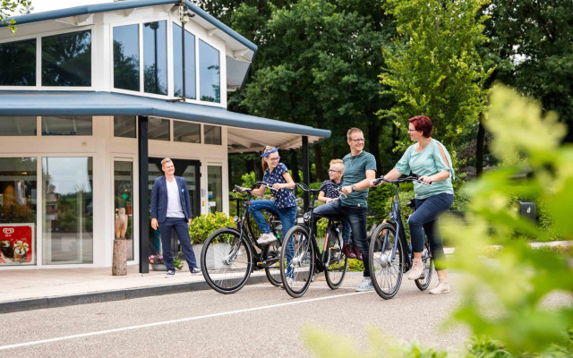Luxury chalet with an outdoor sauna, on De Veluwe