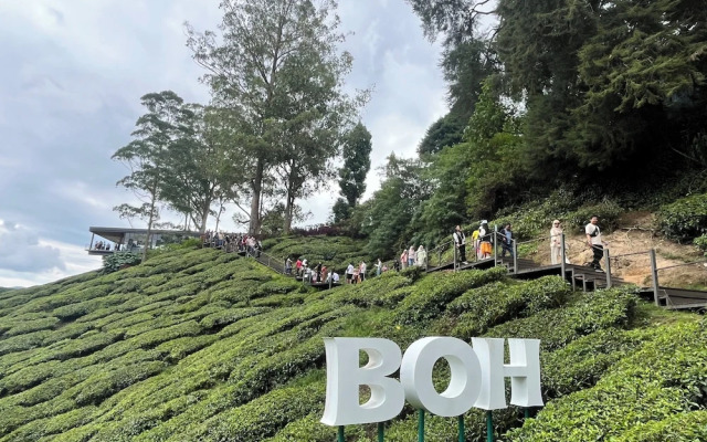 Palas Horizon Apartment