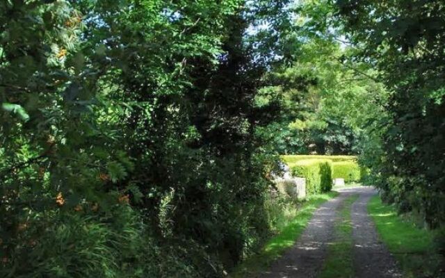 Bostrase B&B