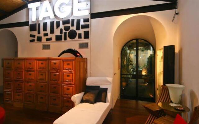 Botanical Garden Open Space