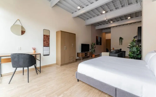 Roma Norte Apartments by VH