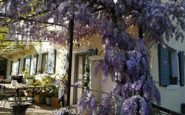 Apartma Medoši
