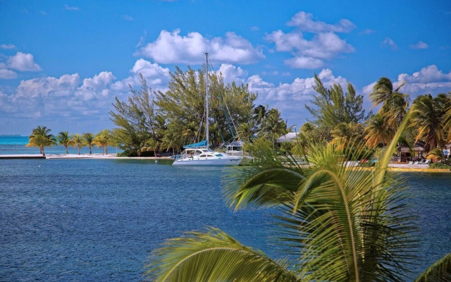 Sea Cove