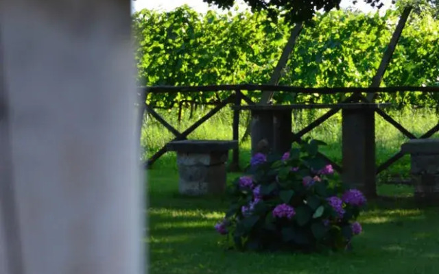 Agriturismo Eco-Bio Villa Vacasio