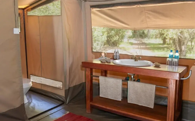 Hammerkop Migration Camp