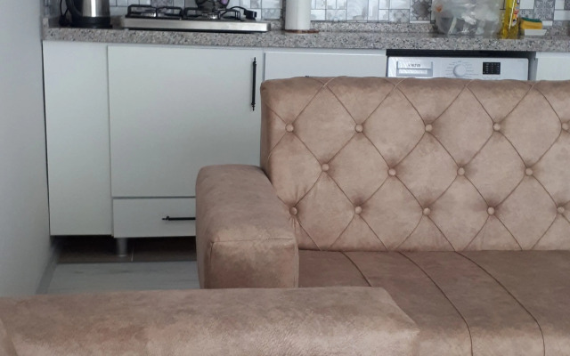 Geyikli günlük daire3