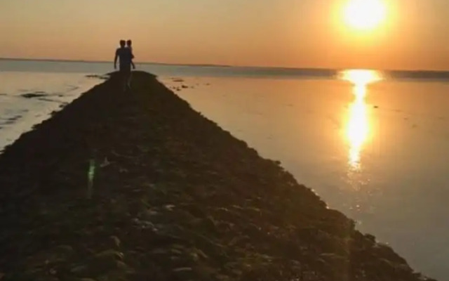 Strandnelke Modern Retreat