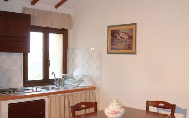 Agriturismo Il Pallocco