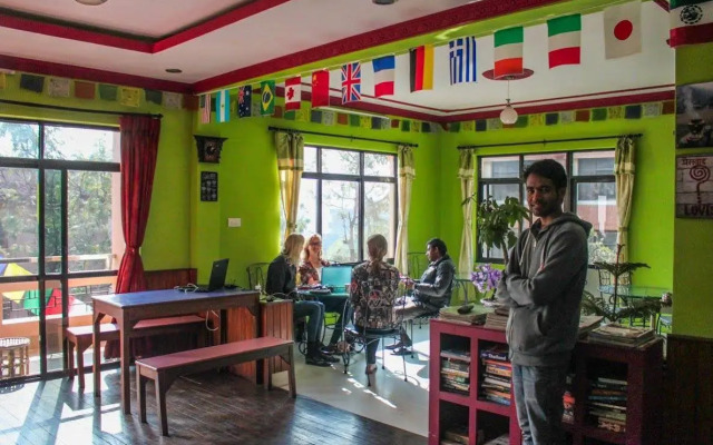 The Sparkling Turtle Backpackers Hostel