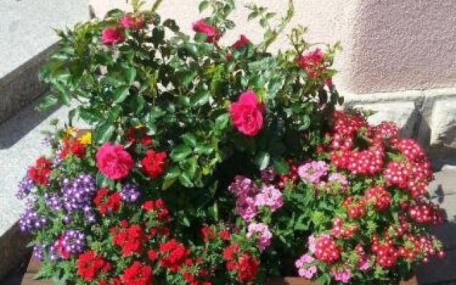 Pension "Parkhotel" Blankenhain