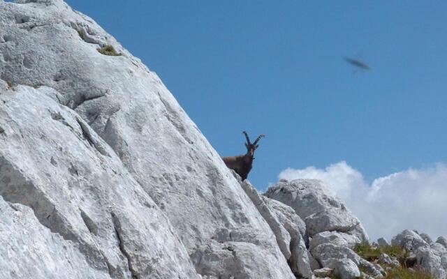 Casa Vacanza Cadorna Residence (Adults Only)