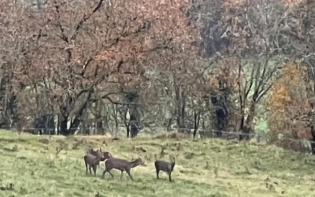 Périgord - Chez Briit