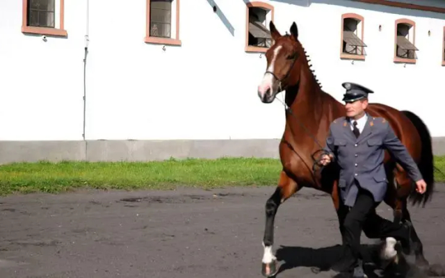 Pałac Racot