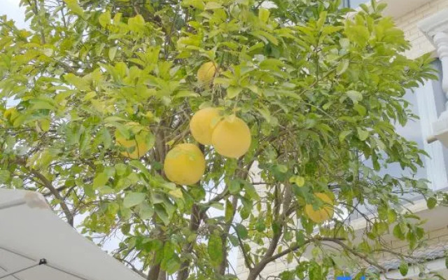 Qixi Liju B&B (Taoxichuan Cultural and Creative Block Store)